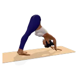 Downward-Facing Dog Pose