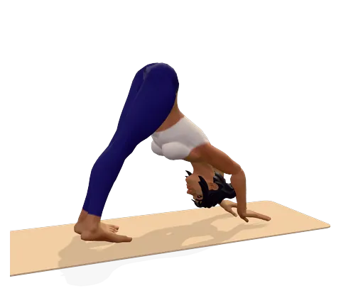 Downward-Facing Dog Pose