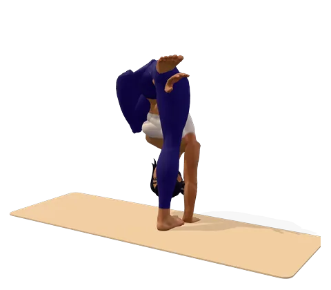 Half Bound Lotus Forward Bend