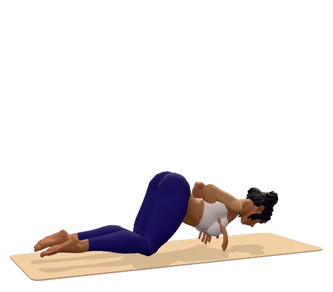 Knees-Chest-Chin Pose