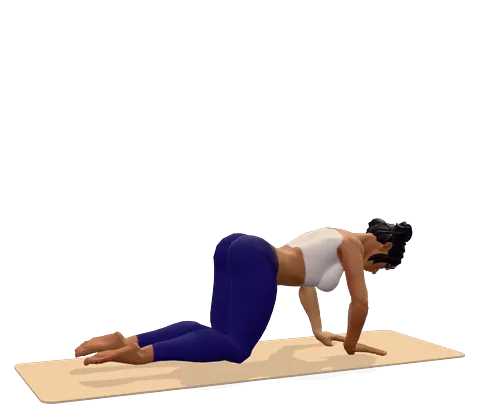 Tabletop Pose