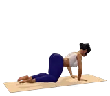 Cow Pose