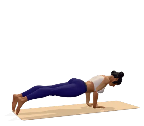 Four-Limbed Staff Pose