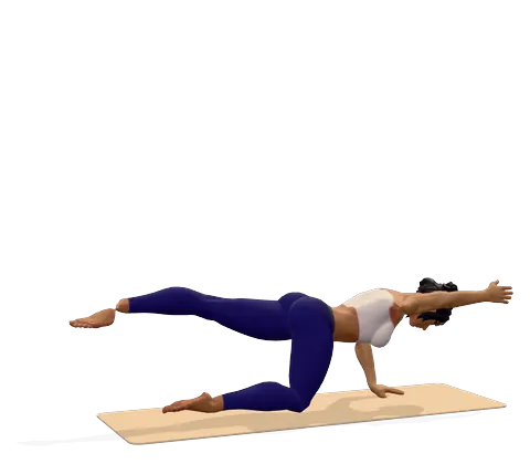 Bird Dog Pose