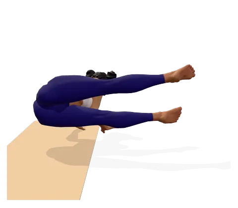 Two-Legged Sage Koundinya Pose