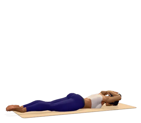Superior Posture