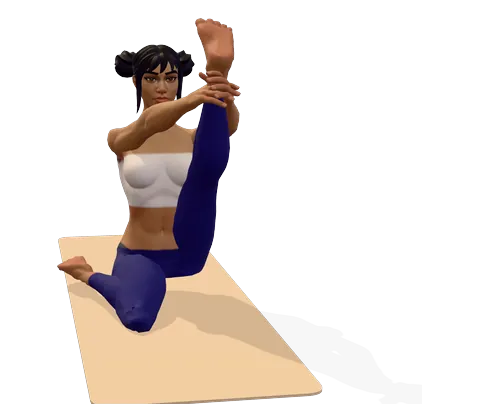 Heron Pose