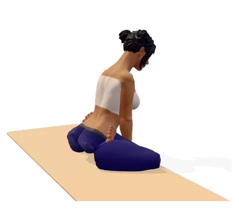 Rooster Pose