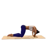 Cat Pose