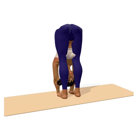 Hand Under Foot Pose