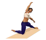Gate Pose