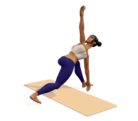 Revolved Side Angle Pose