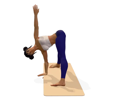Revolved Wide-Legged Forward Bend
