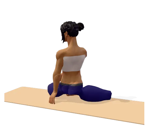 Easy Seated Twist
