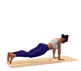 Plank Pose