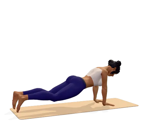 Plank Pose