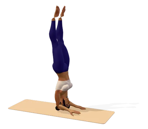 Forearm Stand