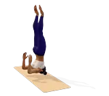 Shoulder Stand
