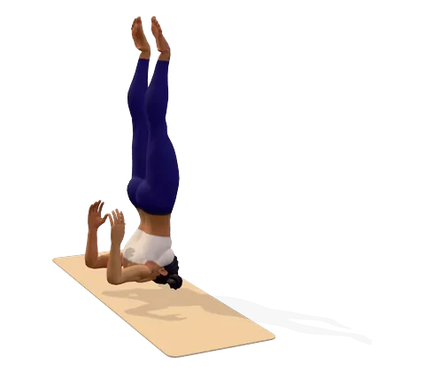 Shoulder Stand