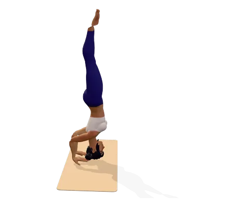Tripod Headstand