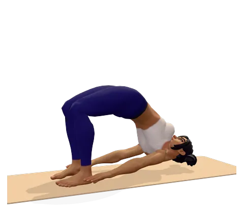 Bridge Pose