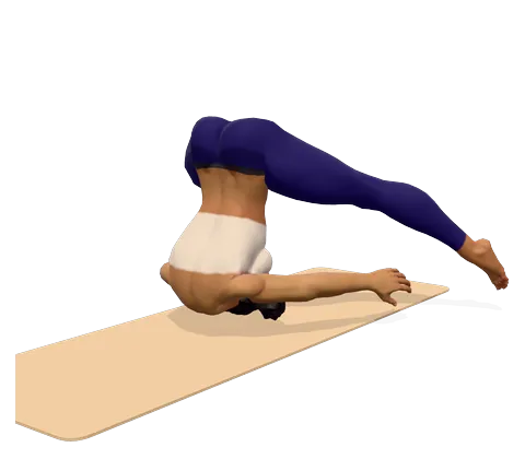 Reclining Angle Pose