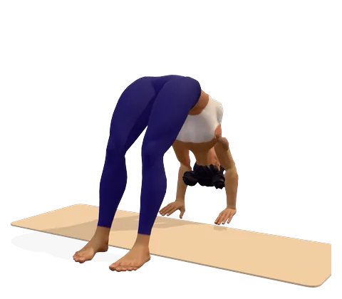Wheel Pose
