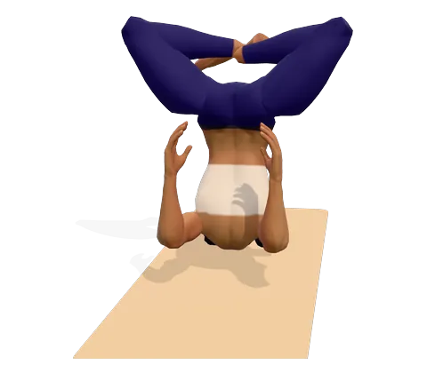 Lotus in Shoulder Stand