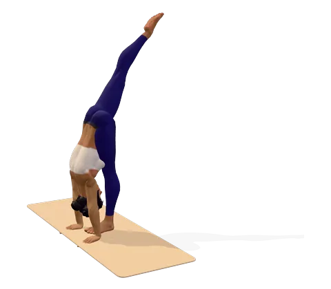 Standing Split