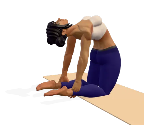 Camel Pose
