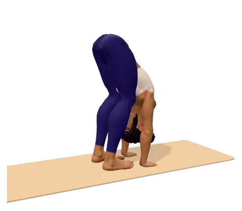 Standing Forward Bend