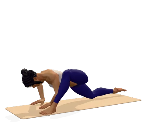 Lizard Pose