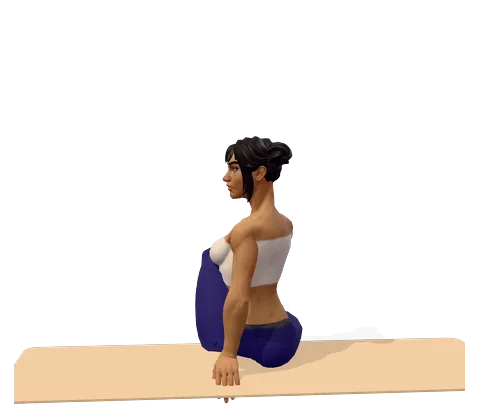 Simple Seated Twist