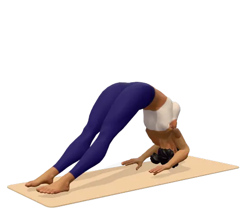 Inverted Staff Pose
